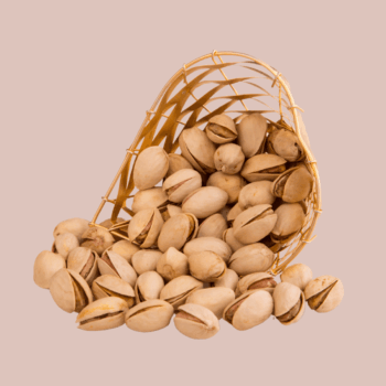 Pista